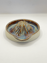 Image 2 of Citrus Juicer | Golden Paua