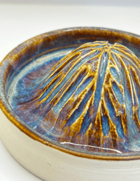 Image 3 of Citrus Juicer | Golden Paua