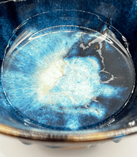 Image 6 of Bowl | Midnight Currents