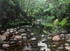 Karamatura Stream Huia - Acrylic on canvas - work in progress