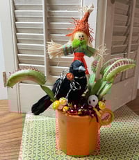 Vintage Fiesta Orange Mug with Scarecrow's Garden Halloween Decoration