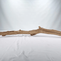 Image 3 of Ocean Tranquil 