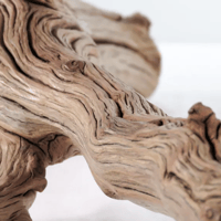 Image 2 of Ocean Tranquil 