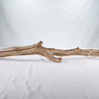 Image 1 of Ocean Tranquil 