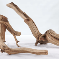 Image 1 of Coastal Artistry  