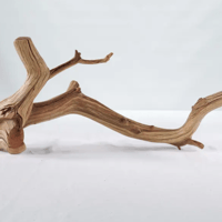 Image 2 of Coastal Artistry  