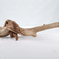 Image 3 of Coastal Artistry  