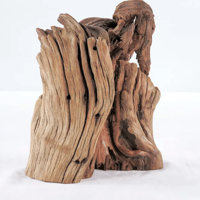 Image 2 of Beach Reverie  