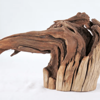 Image 1 of Beach Reverie  