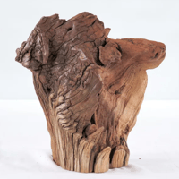 Image 1 of Ocean Pathways  