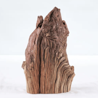 Image 2 of Ocean Pathways  