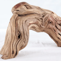 Image 1 of Seaside Wonders  