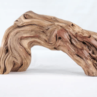 Image 2 of Seaside Wonders  