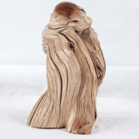 Image 3 of Seaside Wonders  