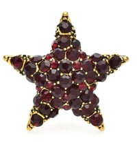 Image 3 of ✨ “Star of the Show” Brooch ✨