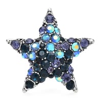 Image 4 of ✨ “Star of the Show” Brooch ✨