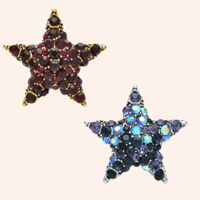 Image 2 of ✨ “Star of the Show” Brooch ✨