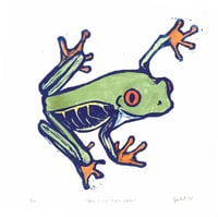 Image 2 of Red-Eyed Tree Frog