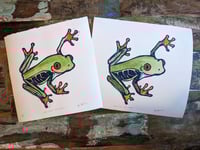 Image 3 of Red-Eyed Tree Frog