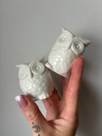 Image 1 of Vintage Glass Owl Salt & Pepper Shakers 