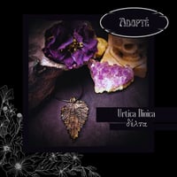 Image 4 of ☽ Urtica Dioica ☾