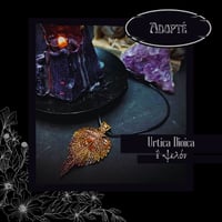 Image 5 of ☽ Urtica Dioica ☾