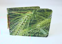 Image 2 of The Little Book of Barley 