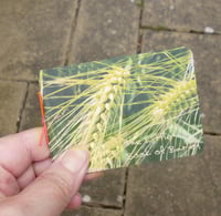 Image 1 of The Little Book of Barley 