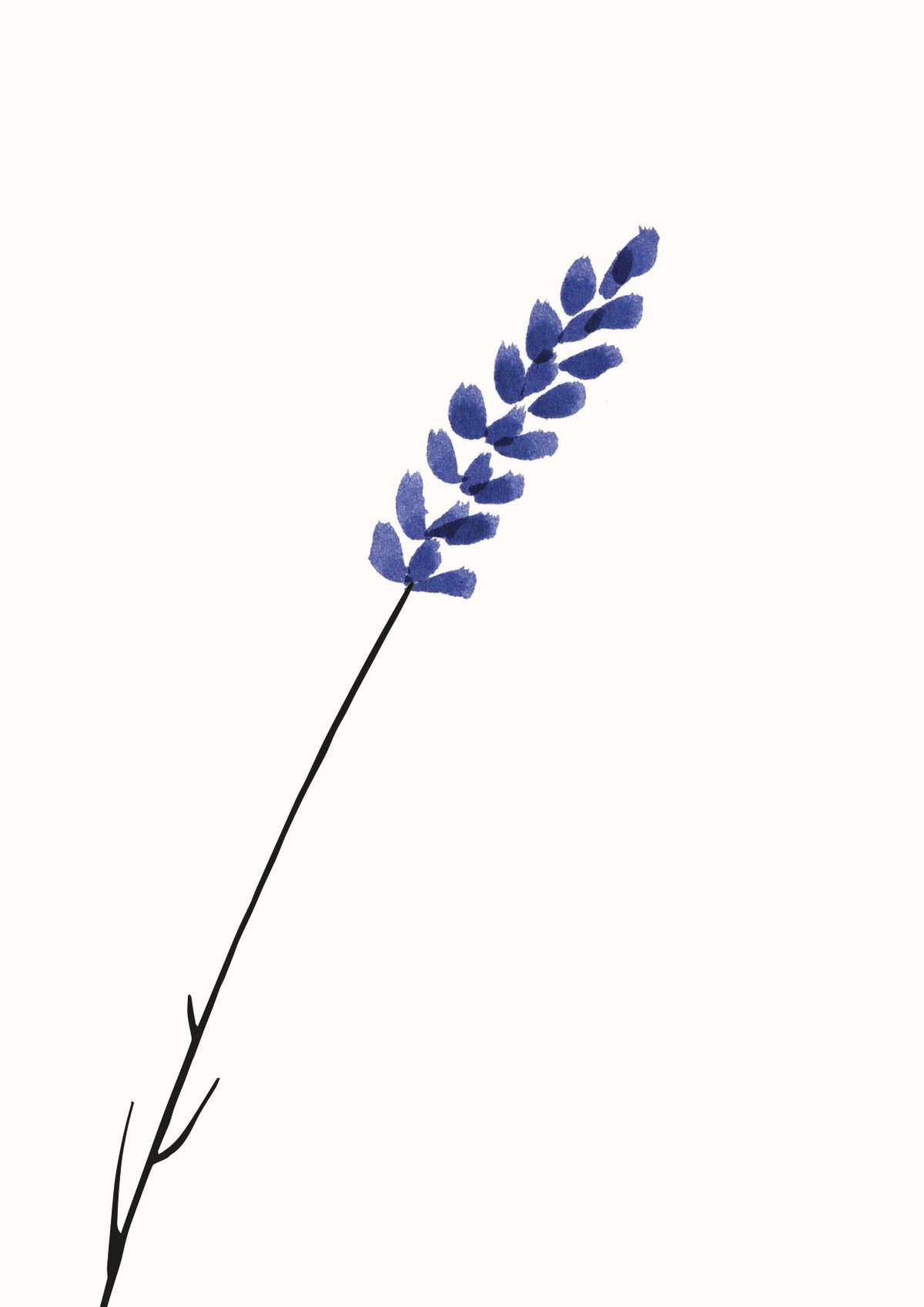 Image of Lot de cartes