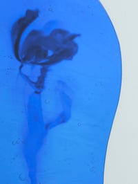 Image 3 of Flowers of Neptune