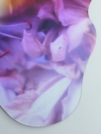 Image 3 of Soft Resilience