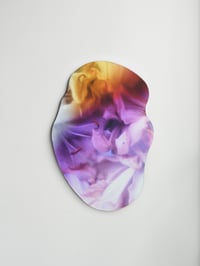 Image 1 of Soft Resilience