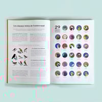 Image 2 of Le Grand Livre des Oiseaux de Fontevraud