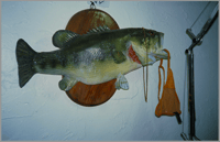 Image 5 of Collodion Stream Volume 3