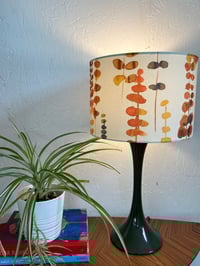 Image of Santa Maria Tango Shade