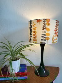 Image of Santa Maria Tango Shade