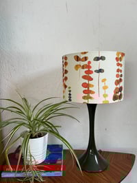 Image of Santa Maria Tango Shade