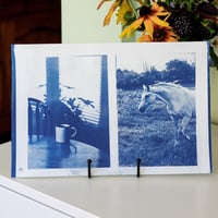 Image 2 of Cyanotype Print