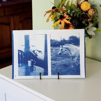 Image 1 of Cyanotype Print