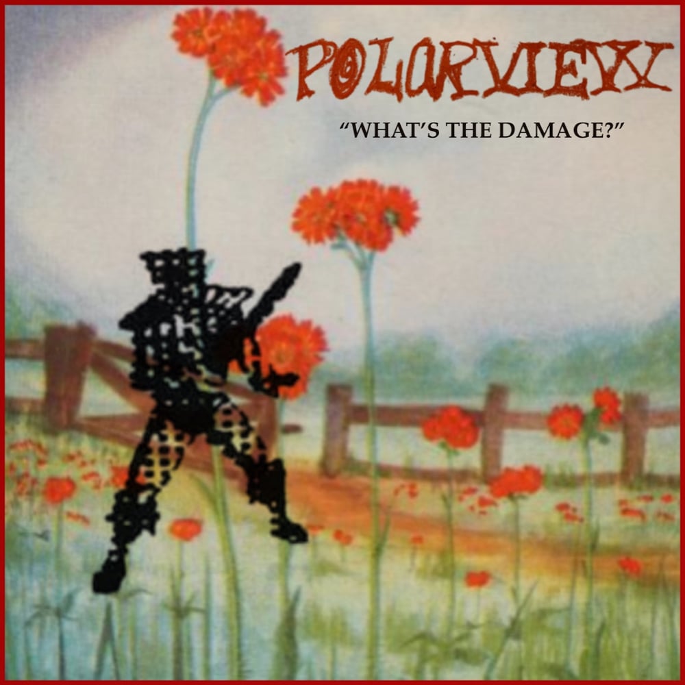 Polarview - <i>What's the Damage?</i> Cassette EP