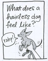 Image 1 of Daily Comic 8/14: Hairless Dog Skin