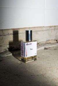 Image 3 of POLLUTION — TWO