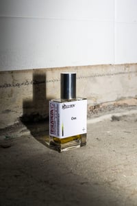 Image 3 of POLLUTION — ONE