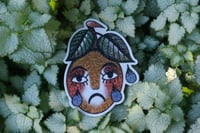 Image 4 of fruity pals
