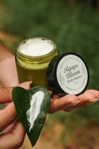 Image 2 of Agape Bloom