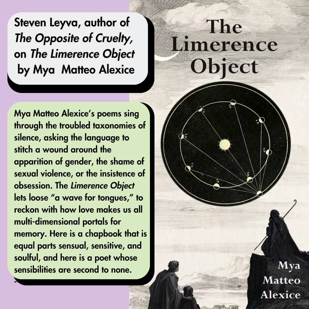 Image of The Limerence Object by Mya Matteo Alexice