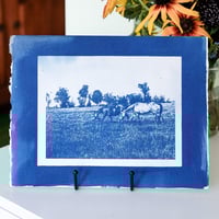Image 1 of Eden and LJ Cyanotype Print