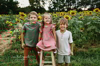 Image 3 of medina sunflower farm mini session 2025 retainer payment