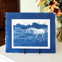 Image 1 of Kobi Cyanotype Print