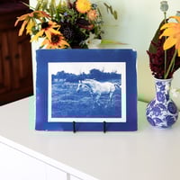 Image 2 of Kobi Cyanotype Print